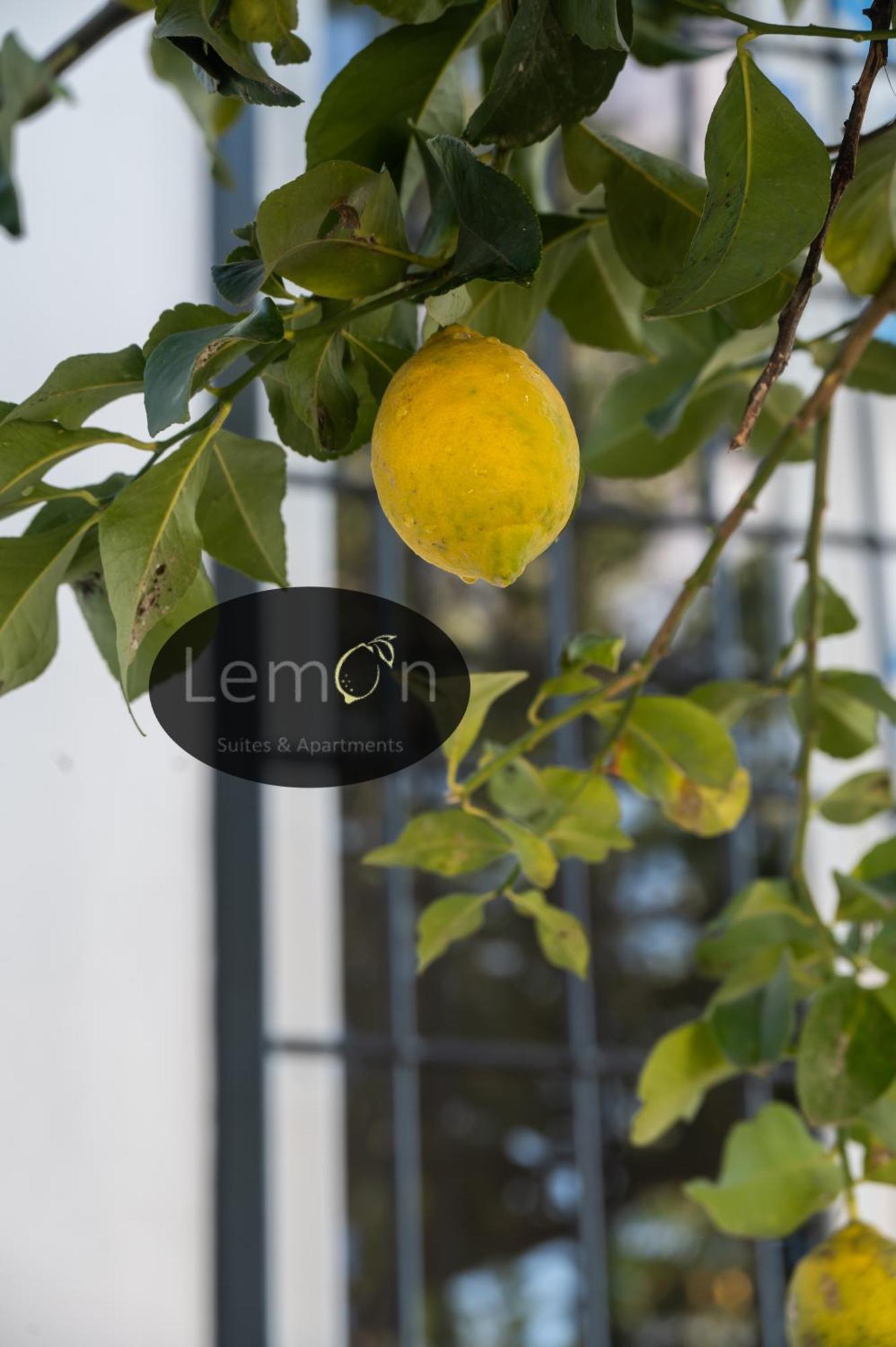 Lemon * Rom